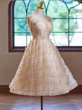 A-Line V Neck Tulle Lace Short Prom Dress, Champagne Homecoming Dress