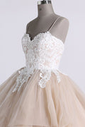 Champagne sweetheart tulle lace long prom dress, tulle formal dress