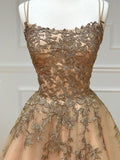 Champagne tulle lace long prom dress, backless champagne graduation dresses